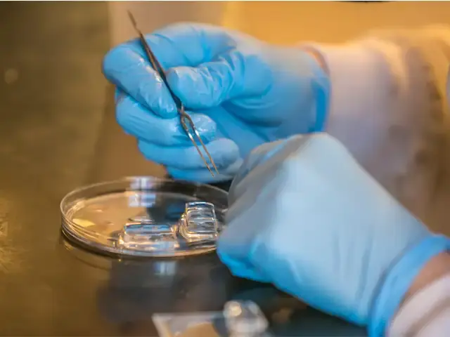 Decorative image of a person conducting research using petri dish
